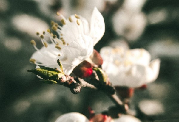 Фотовиставка Тараса Маркіна