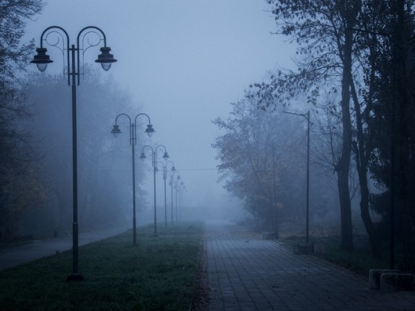 Фотовиставка Тараса Маркіна