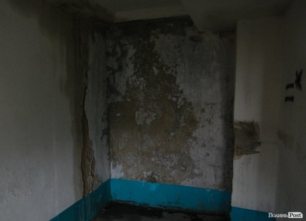 Щоразу, як іде дощ, у Луцьку затоплює багатоповерхівку. ФОТО. ВІДЕО