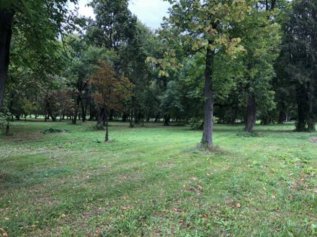 Луцький парк очищають від зарослів. ФОТО