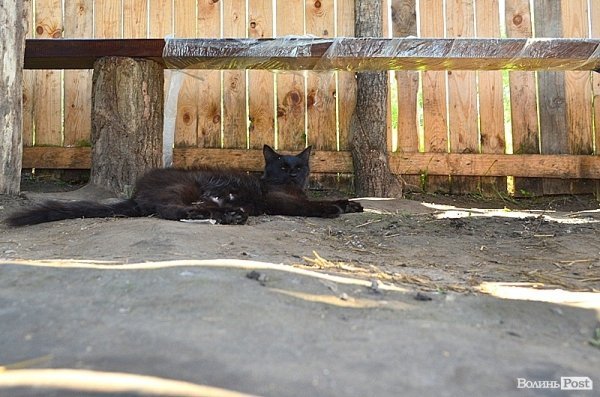 Відпочинок під Луцьком. Боголюби. ФОТО