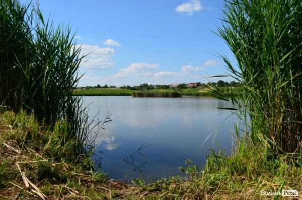 Відпочинок під Луцьком. Боголюби. ФОТО