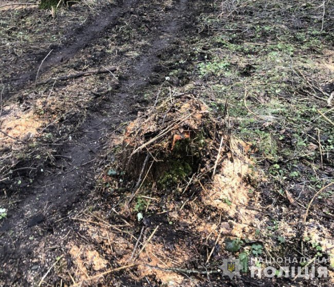 На Волині поліцейський зловив браконьєра, який завдав збитків на 150 тисяч