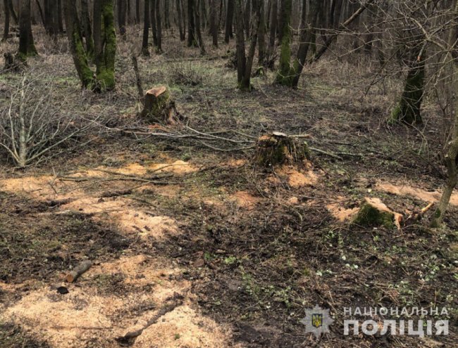 На Волині поліцейський зловив браконьєра, який завдав збитків на 150 тисяч
