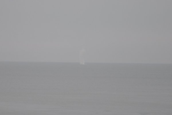 Фото навчань українських артилеристів з ураження морських цілей