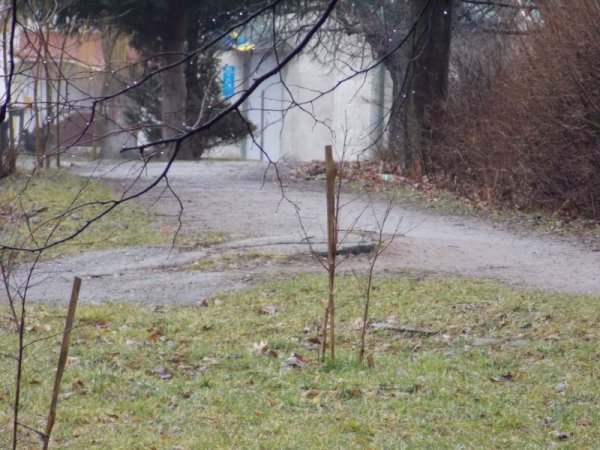 Гектар луцького парку хочуть повернути громаді через слухання