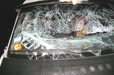 Автобус із Волині перекинувся на Житомирщині, постраждали 7 людей. ФОТО