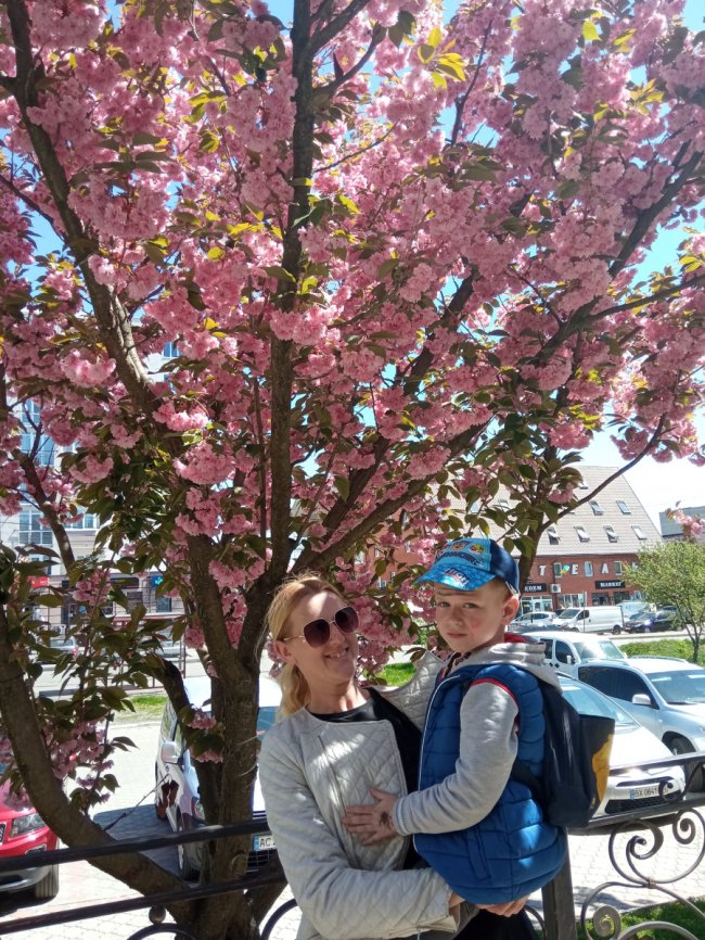 Де у Луцьку сфотографуватися у сакурах. ЛОКАЦІЇ