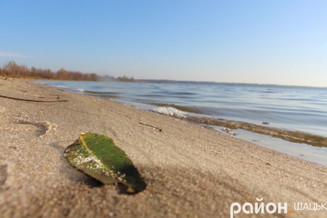 Сонячна осінь на волинському озері. ФОТО