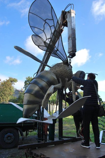 У волинському селищі «поселилася» гігантська бджола. ФОТО