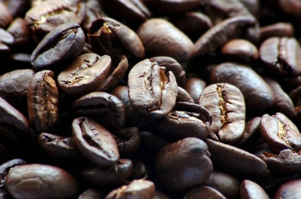 Фотовиставка Костянтина Барана