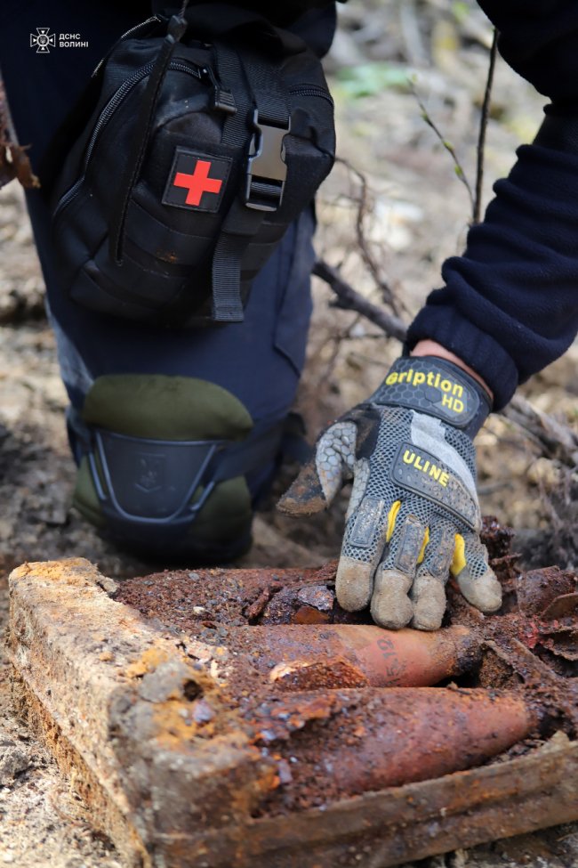 Через 80 років знайшли схрон з німецькою зброєю: на Волині знищили понад 160 боєприпасів 