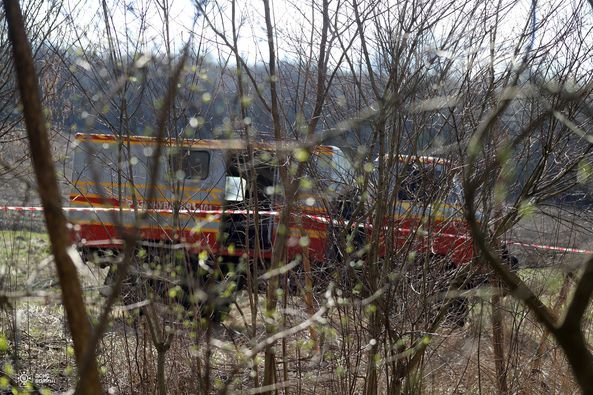 Через 80 років знайшли схрон з німецькою зброєю: на Волині знищили понад 160 боєприпасів 