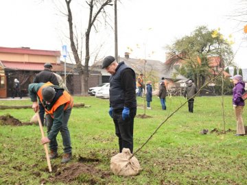 Глід, акація, метасеквоя: біля Теремнівських ставків висадили саджанці дерев