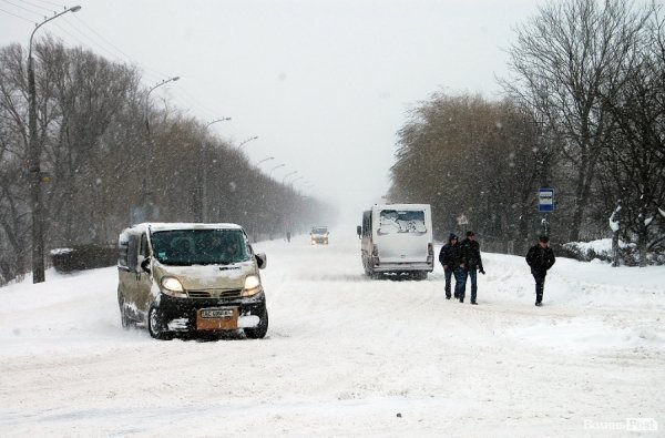 Як Луцьк замело снігом. ФОТО