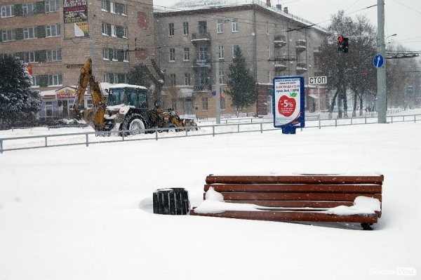 Як Луцьк замело снігом. ФОТО