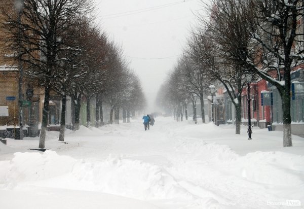 Як Луцьк замело снігом. ФОТО