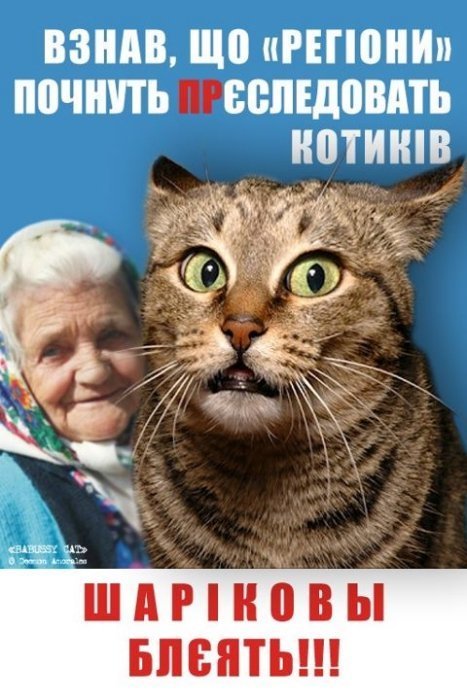 Бабуся і кіт: фотожабоманія триває. ФОТО