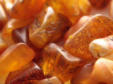 На Волині судитимуть 18-річного хлопця, в авто якого знайшли бурштин