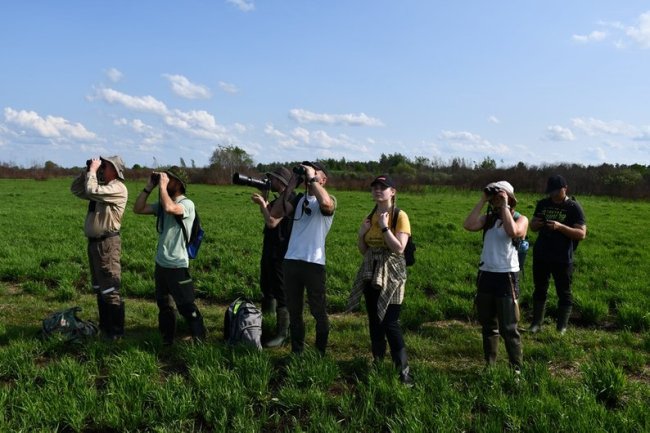 На Волині порахували найрідкісніших птахів Європи