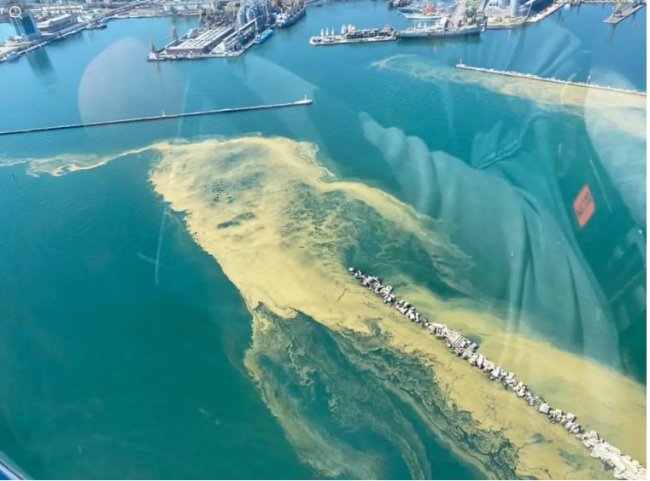В Одесі позеленіло море: купатися не рекомендують