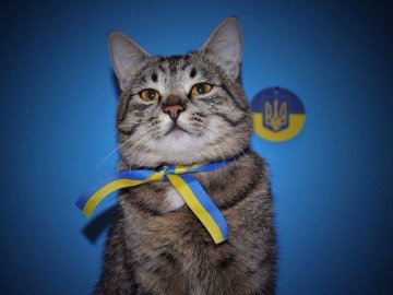 Добрі новини від ВолиньPost за 26 травня 