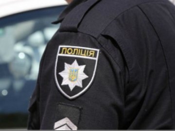 У Кропивницькому директорка школи написала заяву до поліції на учнів, які врятували кошеня