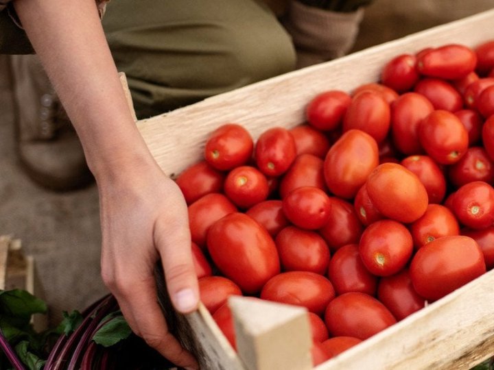 В Україні різко змінилися ціни на помідори