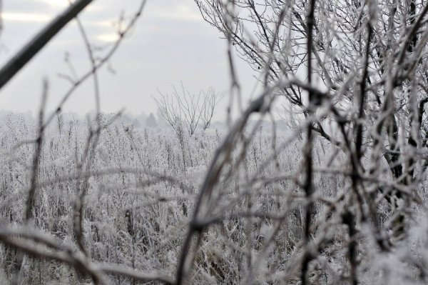 Волинь в льодяному тумані. ФОТО
