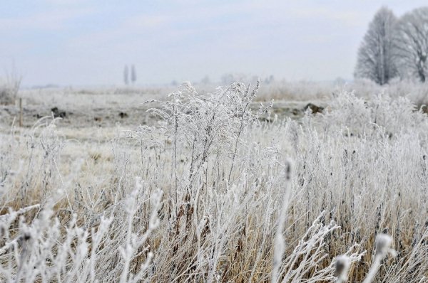 Волинь в льодяному тумані. ФОТО