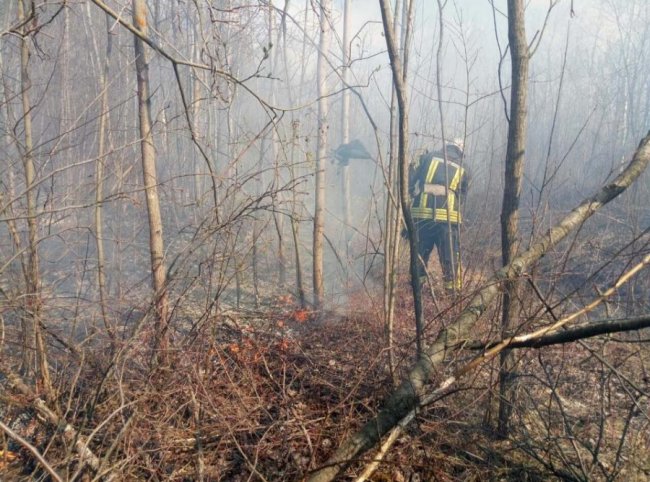 Вигоріло 2 га території: на Волині вогнеборці разом з лісівниками гасили суху траву. ФОТО
