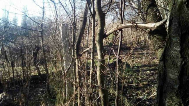 У Луцьку муніципали чистять берег Сапалаївки від старих парканів. ФОТО