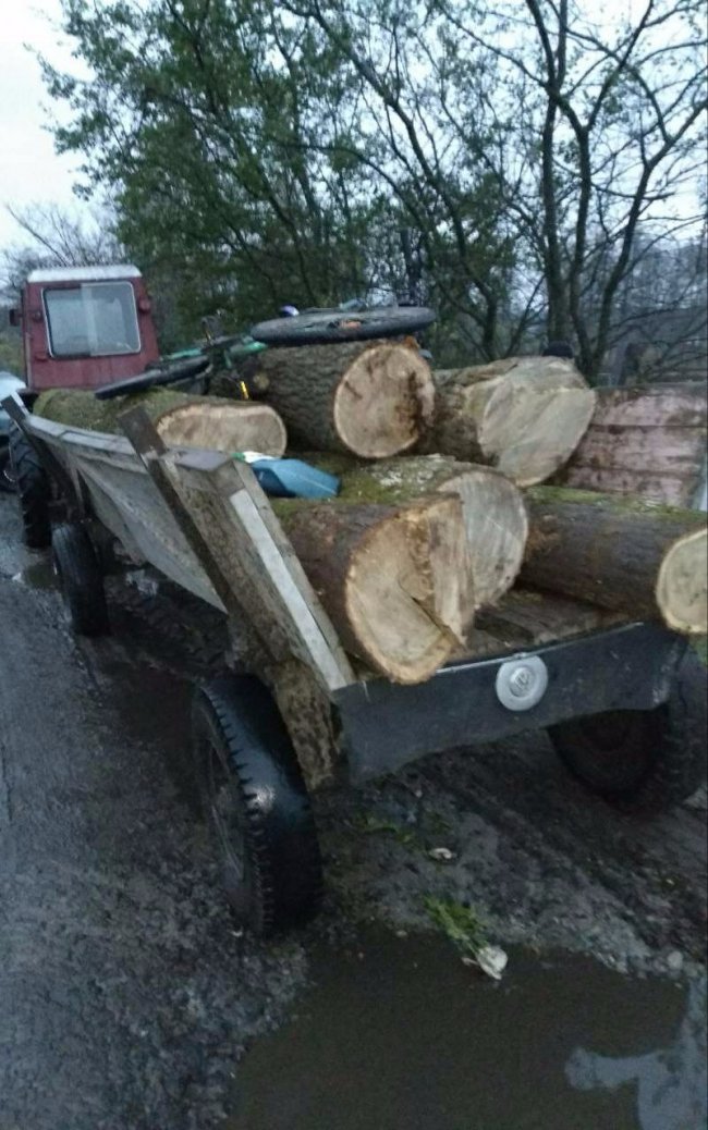 На Волині затримали трактор з краденими дубами
