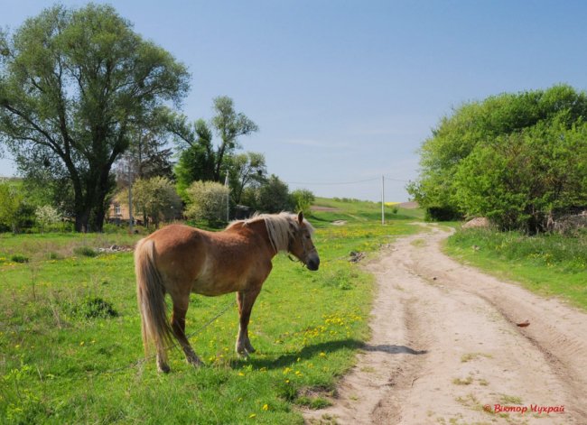 Останній день квітня на світлинах відомого луцького фотографа. ФОТО