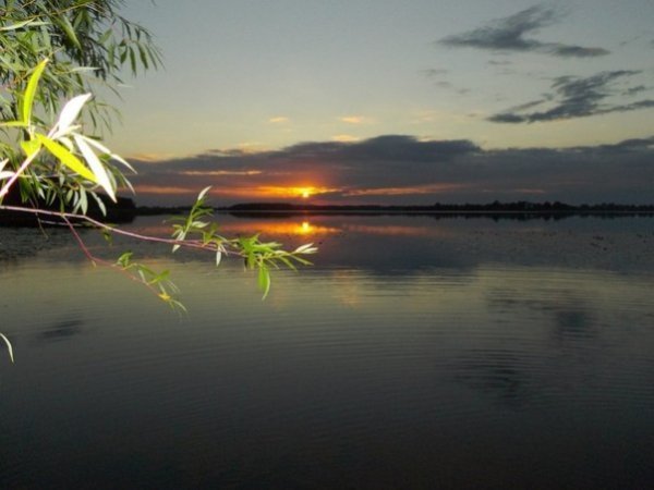 Озеро Нобель,  2013 липень. Автор – Олександр Кухаренко.