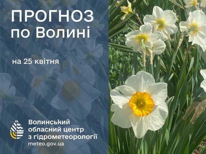 Погода в Луцьку та Волинській області на завтра, 25 квітня