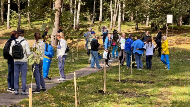 У місті на Волині на честь Героїв посадили алею пам'яті. ФОТО