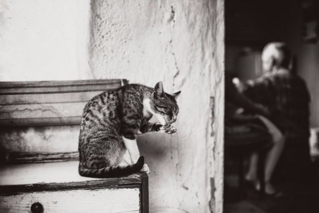 Дитяче літо без ґаджетів та Інтернету у світлинах польського фотографа