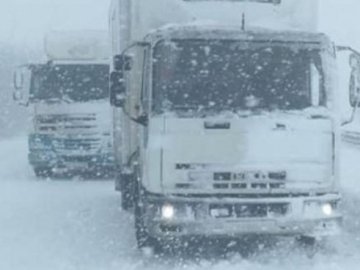 Біля «Ягодина» рух до кордону заблокували вантажівки