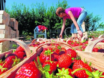 Зарплата українських заробітчан у Польщі зросте