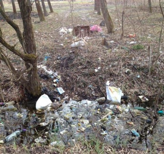 Волиняни під час ранкових пробіжок прибирають засмічені території. ФОТО