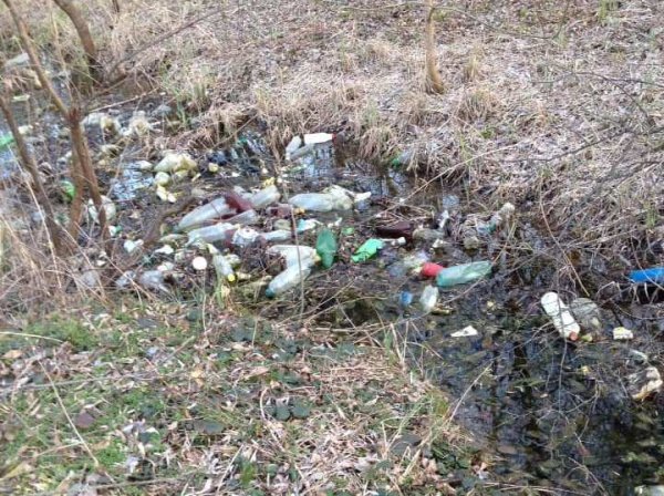 Волиняни під час ранкових пробіжок прибирають засмічені території. ФОТО