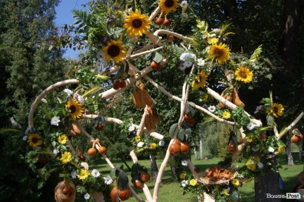 У День міста в Луцьку відбулося свято квітів. ФОТО