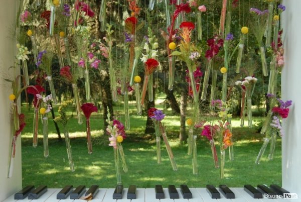 У День міста в Луцьку відбулося свято квітів. ФОТО