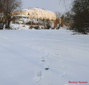 Опублікували чарівні фото зимового Стиру