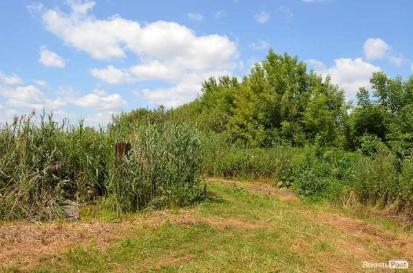 З іншої сторони ставу.