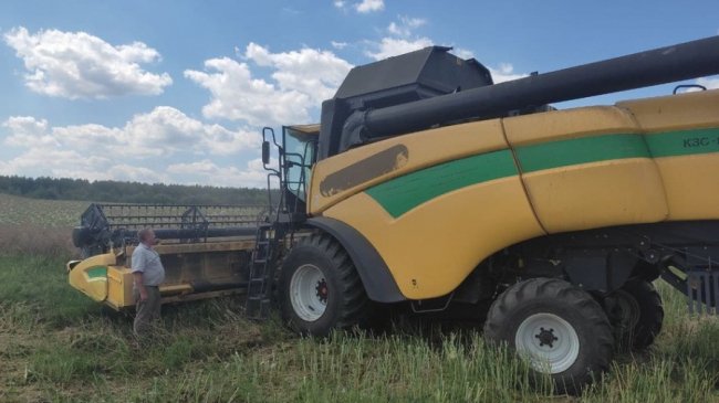 Жнива на Волині сповільнили дощі: відомо, скільки врожаю вже зібрали.ФОТО.ВІДЕО