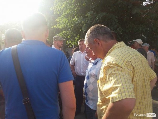 Дерева на центральній  вулиці Луцька не зрізатимуть. ФОТО. ВІДЕО