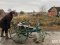 У волинському селі через пустощі на Маланку пошкодили автомобіль та картоплекопачку