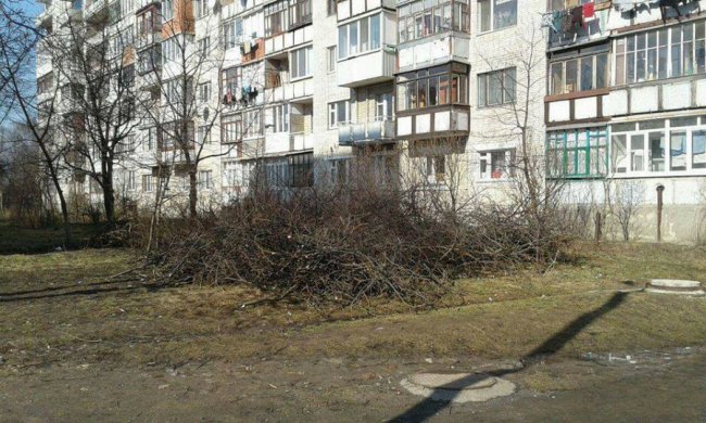 У Луцьку муніципали «прославили»  голову ОСББ